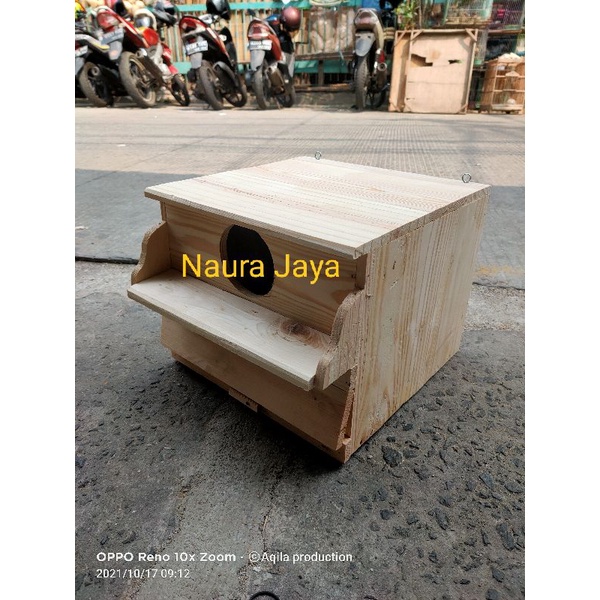 Glodok Burung Palek Nuri Murai