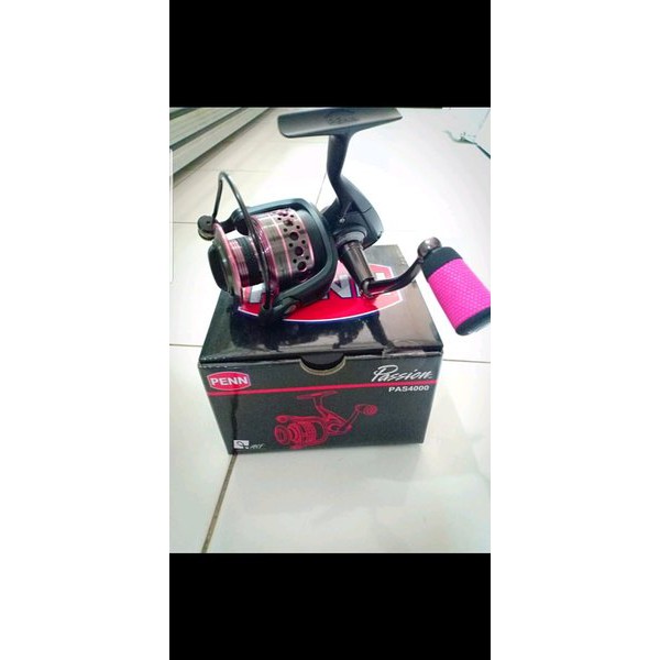 reel penn passion 4000