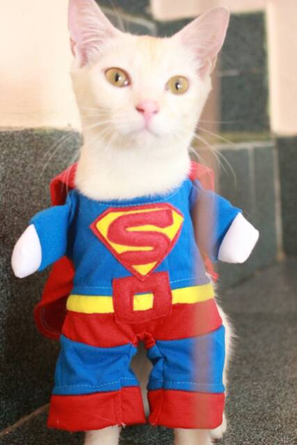 Kostum superman untuk kucing lucu banget / baju kucing size S M L XL