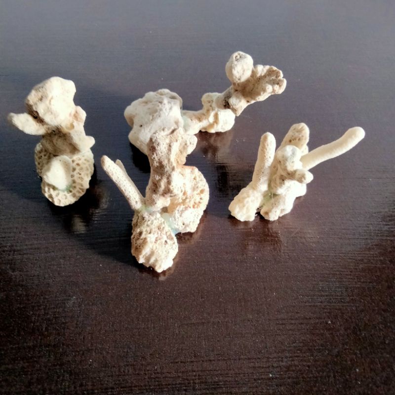 Hiasan akuarium batu karang