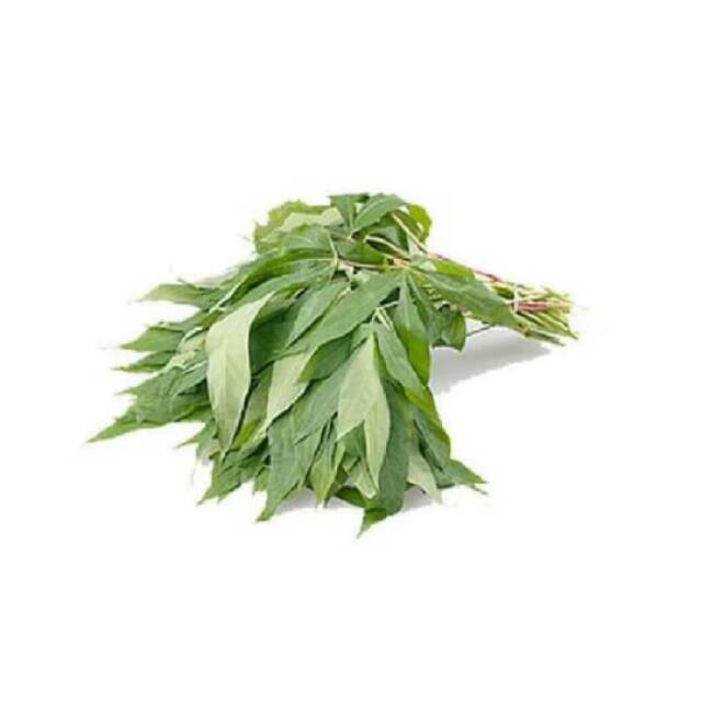 

Sayur daun singkong