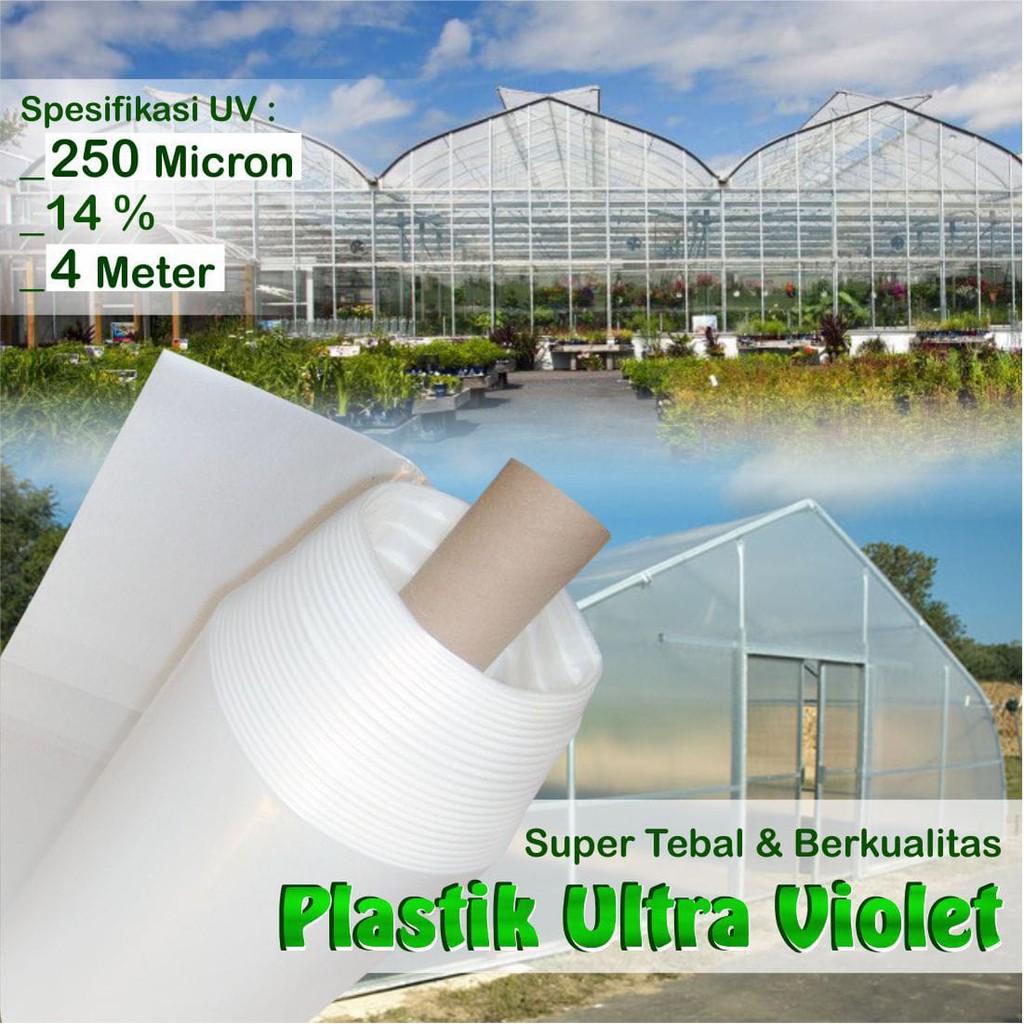 PLASTIK UV GREEN HOUSE 250 Micron LEBAR 4 METER HIDROPONIK