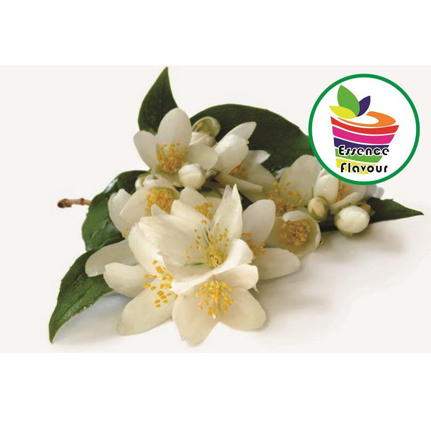 

Murah.. Bubuk Jasmine Pure 1/2 Kg Flavor Essen Ekstrak Melati Murni No Sugar Flavour Essence Extract GAFI VC7