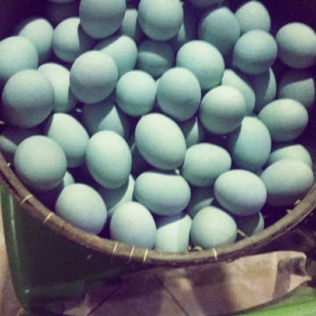 

Telor asin ma siti