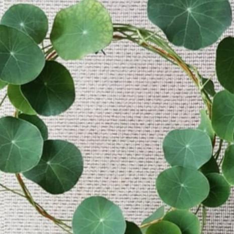 ☋ Loop Planters - 20cm Rambatan Besi Media Rambat Tanaman Dekorasi Bunga ☃