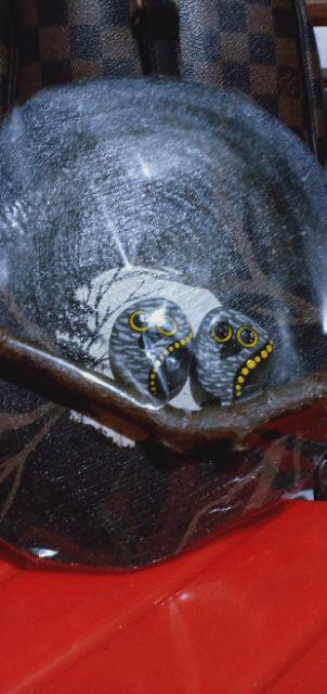 Pajangan Dinding - Hiasan Kayu