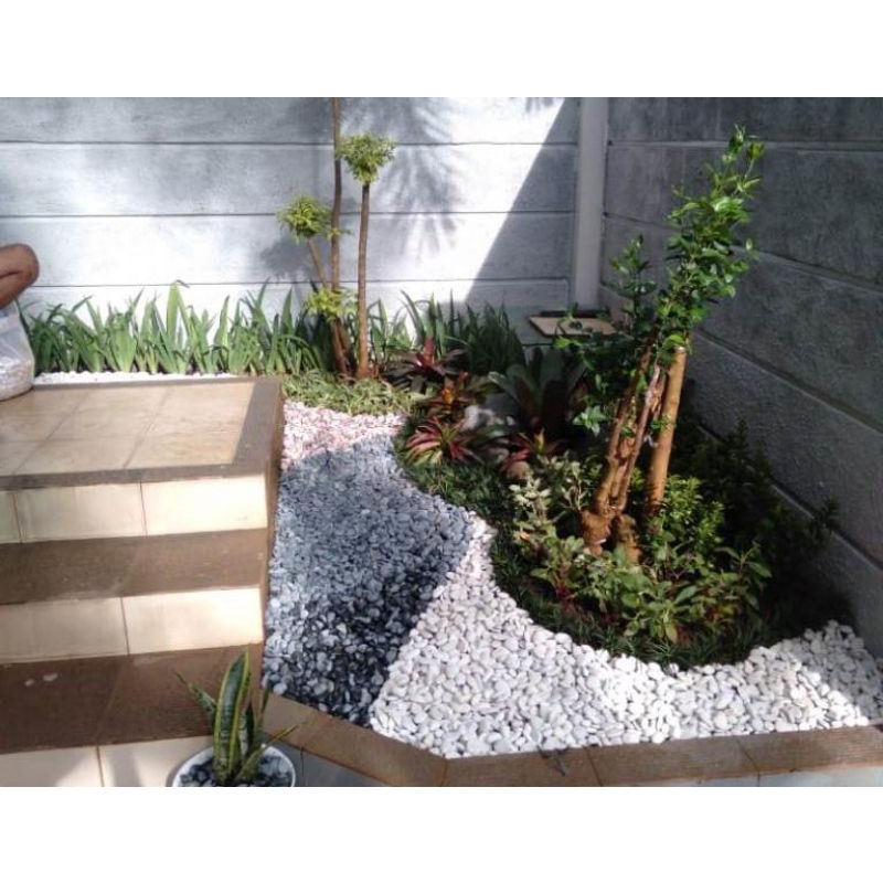 Jasa pembuatan taman kering