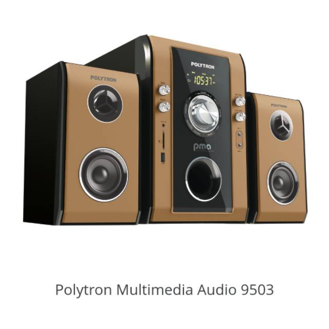 Polytron Multimedia Audio PMA 9503
