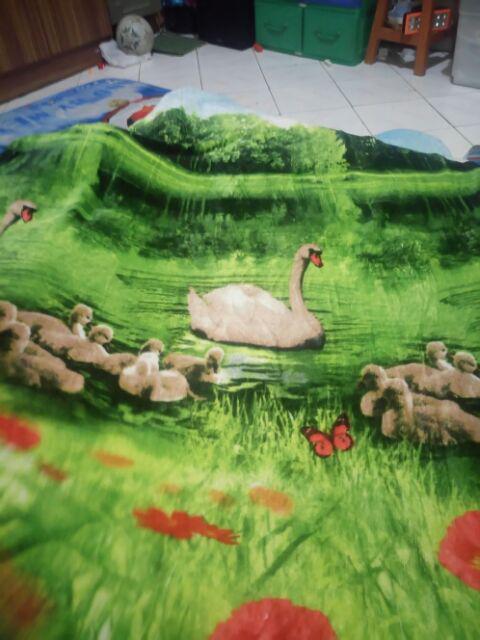 Selimut Bulu Halus Terlaris Motif Anak Berkualitas Murah / Selimut Karakter Import  - Ukuran 150x200
