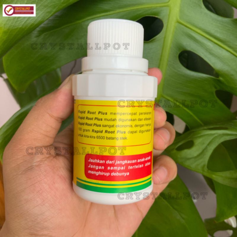 RAPID ROOT PLUS 100 GR hormon pertumbuhan akar dan merangsang akar - ZPT