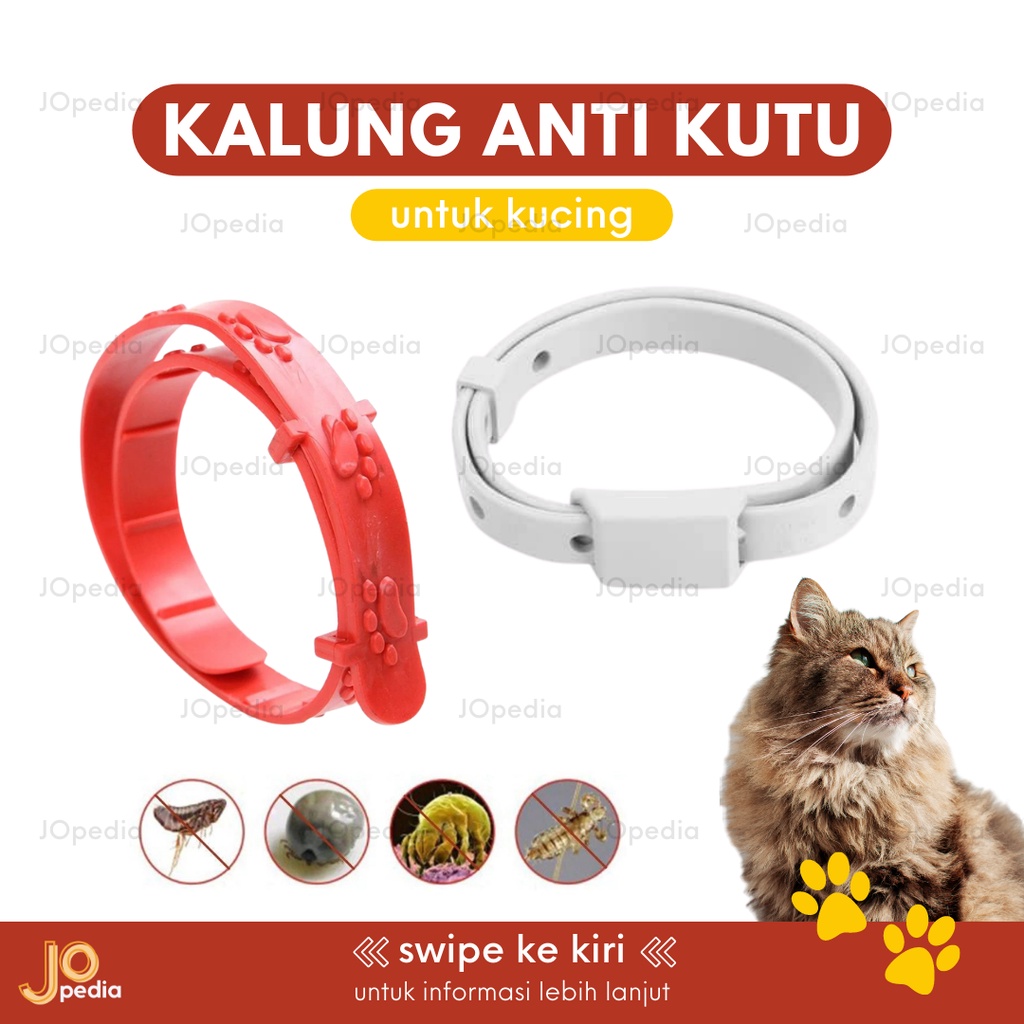 KALUNG ANTI KUTU Kucing Kelinci Kalung Kutu Cat Flea and Tick Collar