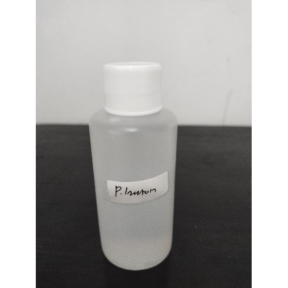 BIBIT PARFUM PARIS HILTON 100 ML ORIGINAL