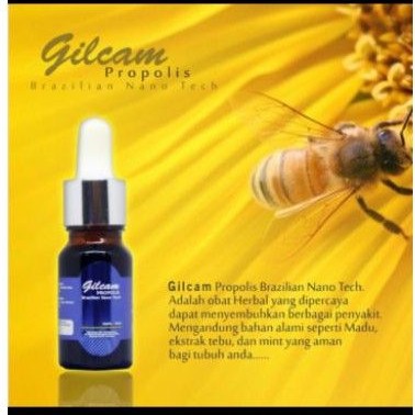 Gilcam Propolis Teknologi Nano Tech mempercepat penyembuhan