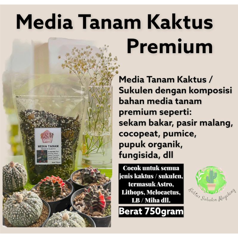 Media Tanam Kaktus Premium 750Gram