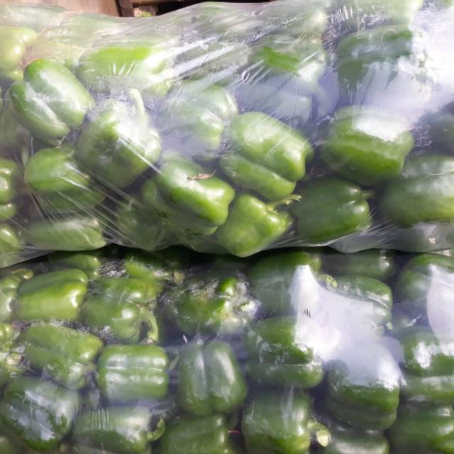 

Paprika Hijau Segar