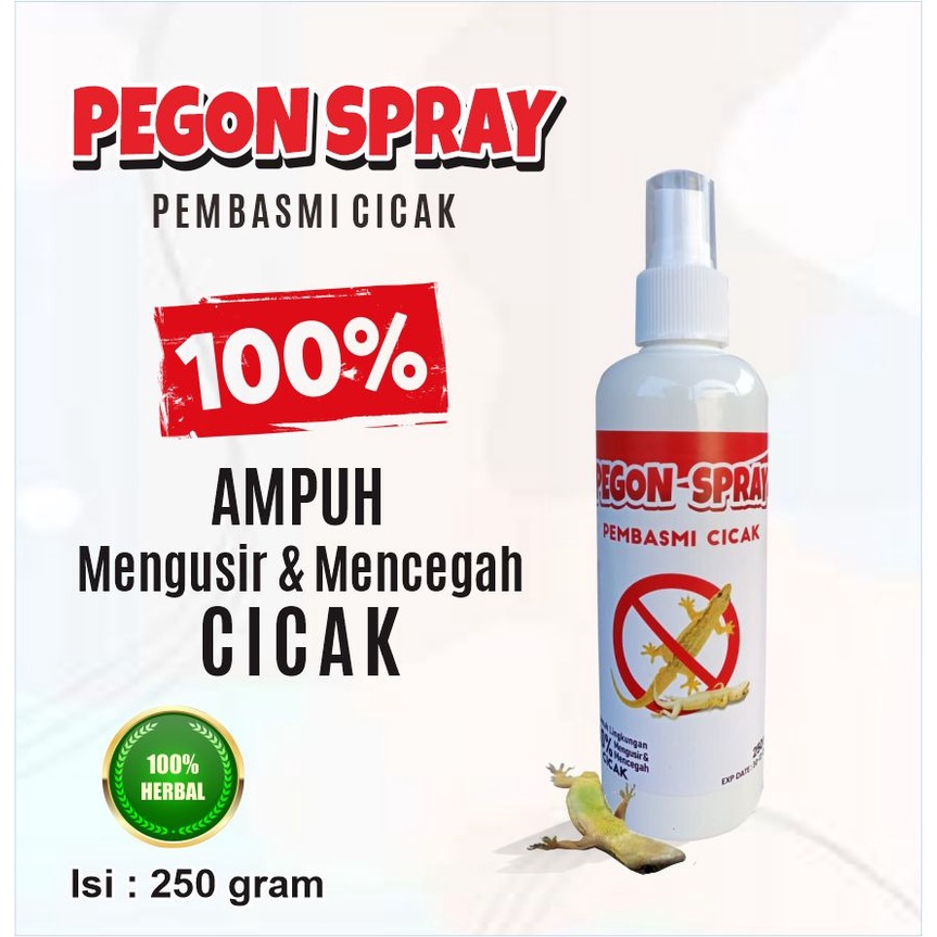 RACUN CICAK PEGON SPRAY (Spesialis Pembasmi Cicak)