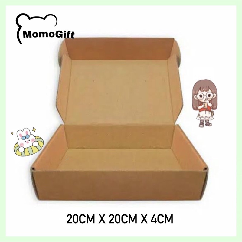 Extra Packing Kardus Packing Box-20x20x4Cm