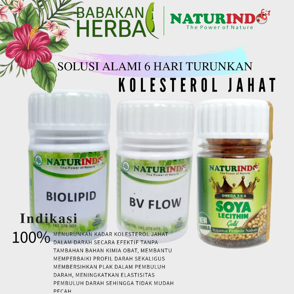 

PAKET RESEP OBAT HERBAL ATASI KOLESTEROL JAHAT NATURINDO HERBAL