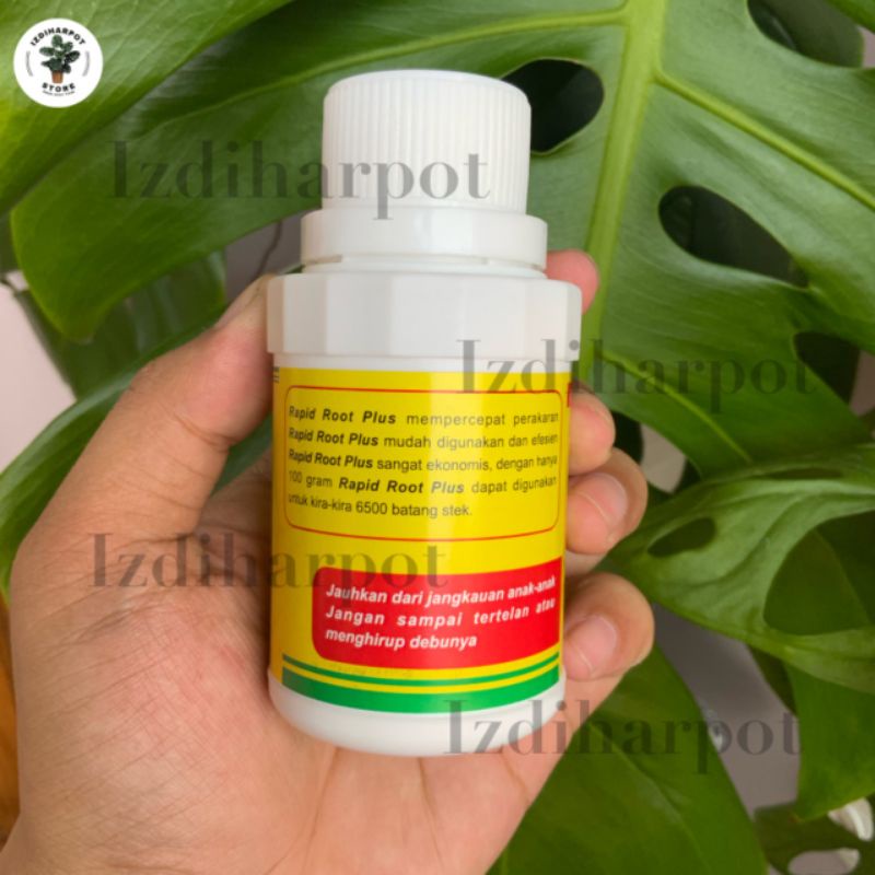 RAPID ROOT PLUS 100GR hormon pertumbuhan akar dan merangsang akar - ZPT