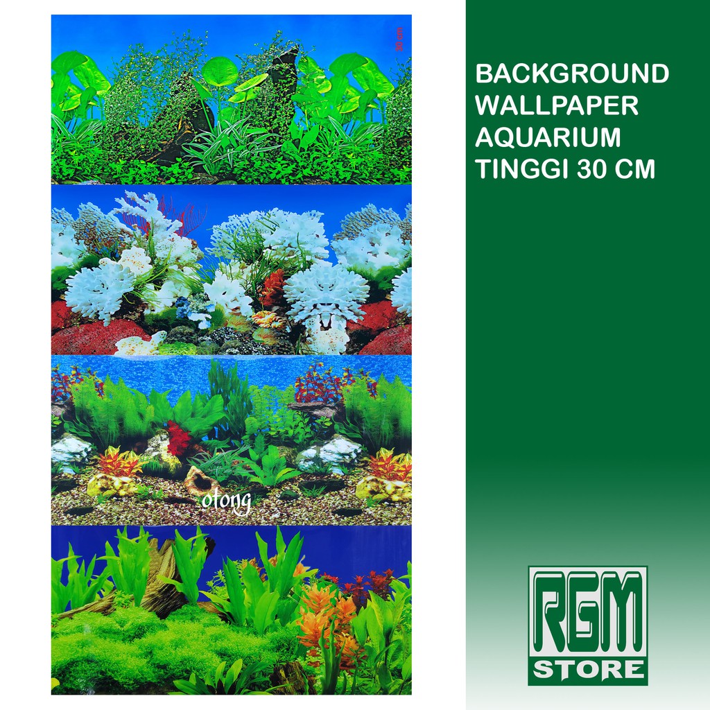 wallpaper background aquarium tinggi 30 cm aquascape