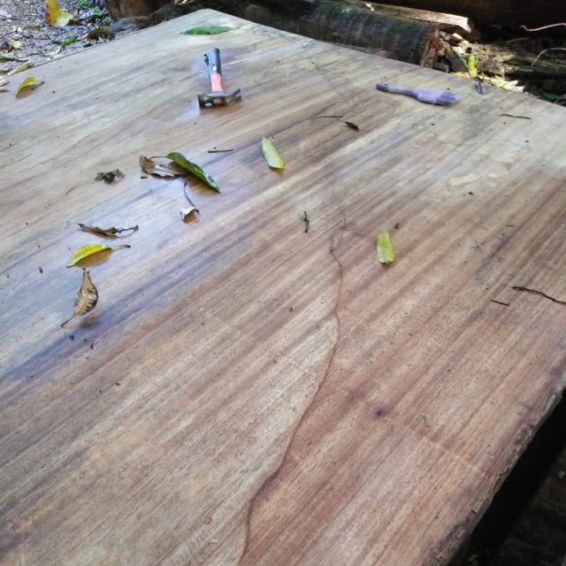 

Papan kayu