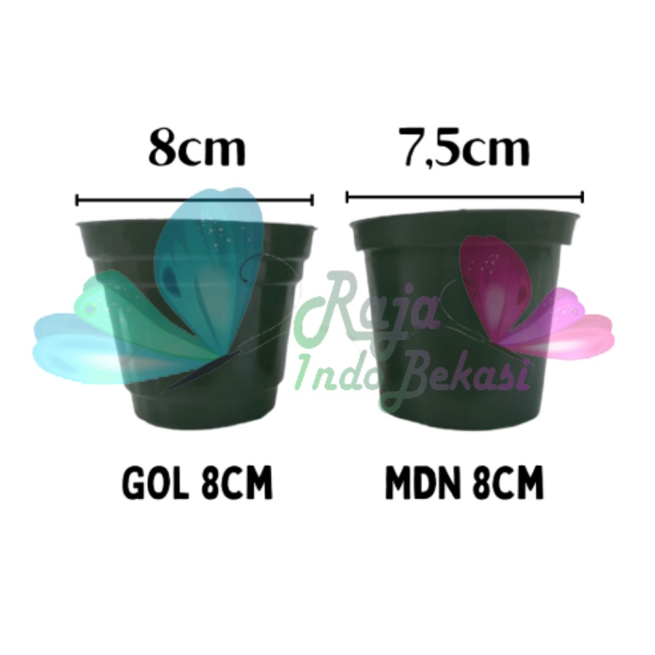 Pot 8 Cm Hitam By Garden Of Love Pot Bunga 8cm Plastik Kaktus Hitam Pot Hidroponik Mini Pot 7 Cm