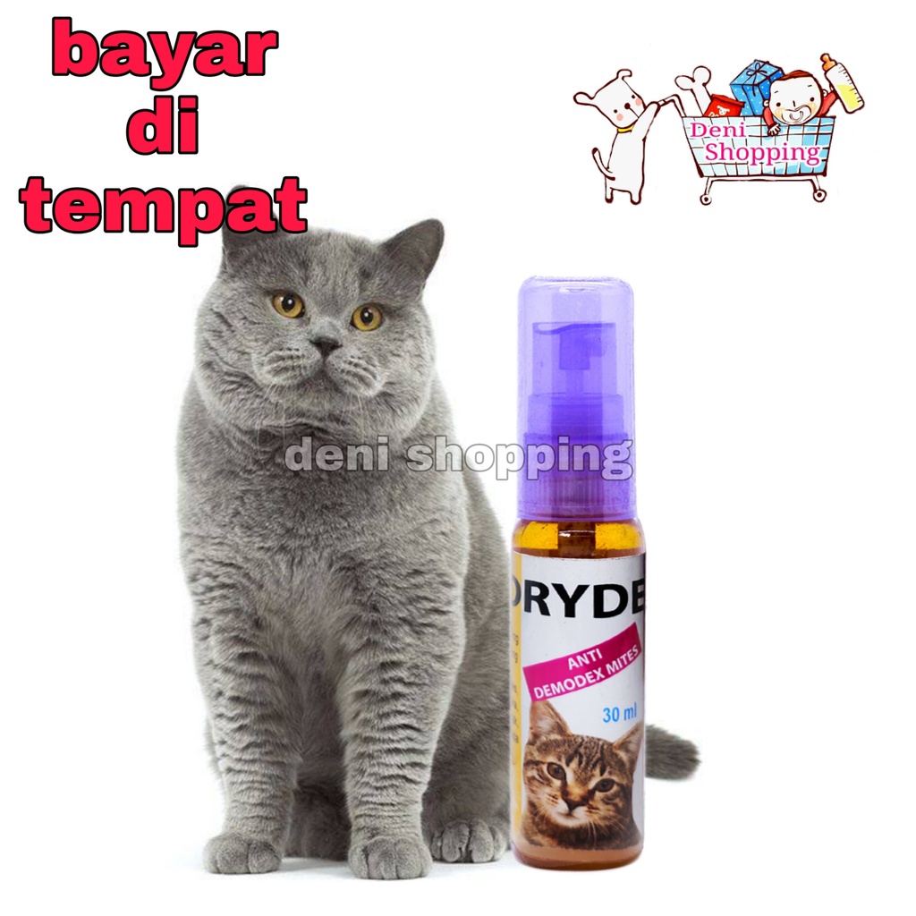 OBAT LUKA JAMUR KUCING BULU RONTOK BOTAK KORENG - DEMODEX
