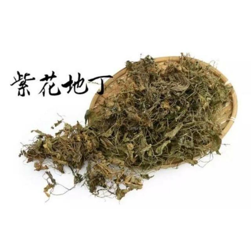 

100gr Di Ding Cao / Zi Hua Di Ding Cao Premium Corydalis Bungeana / Bunge Corydalis Herb / Bunge Corydalis / Corydalis Bungeanae Herba / Philippine Violet Herb