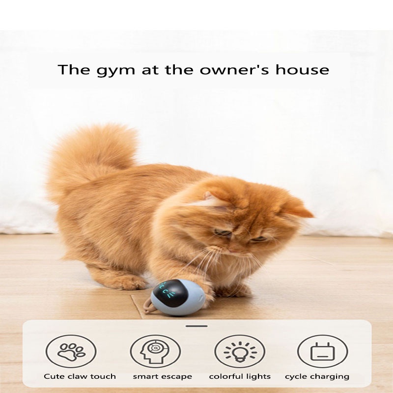 Smart Interactive Cat Toy 360 Degree Self Rotating Ball, USB Rechargeable Pet Toy