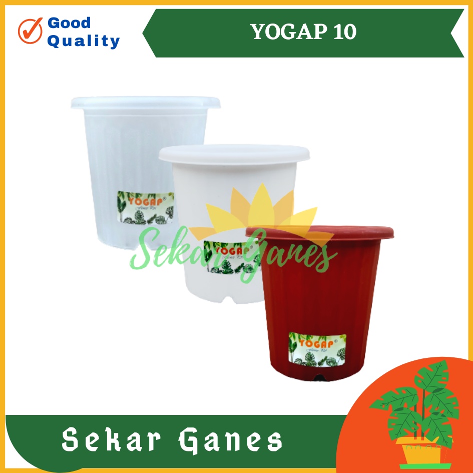 Sekarganes Pot Yogap 10 Putih Transparan Bening Merah Bata Pot Yogap 8 10 13 15 17 18 Murah Pot Coklat Bata Clear