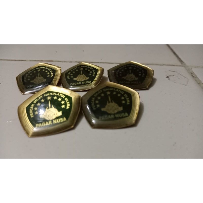Pin PAGAR NUSA