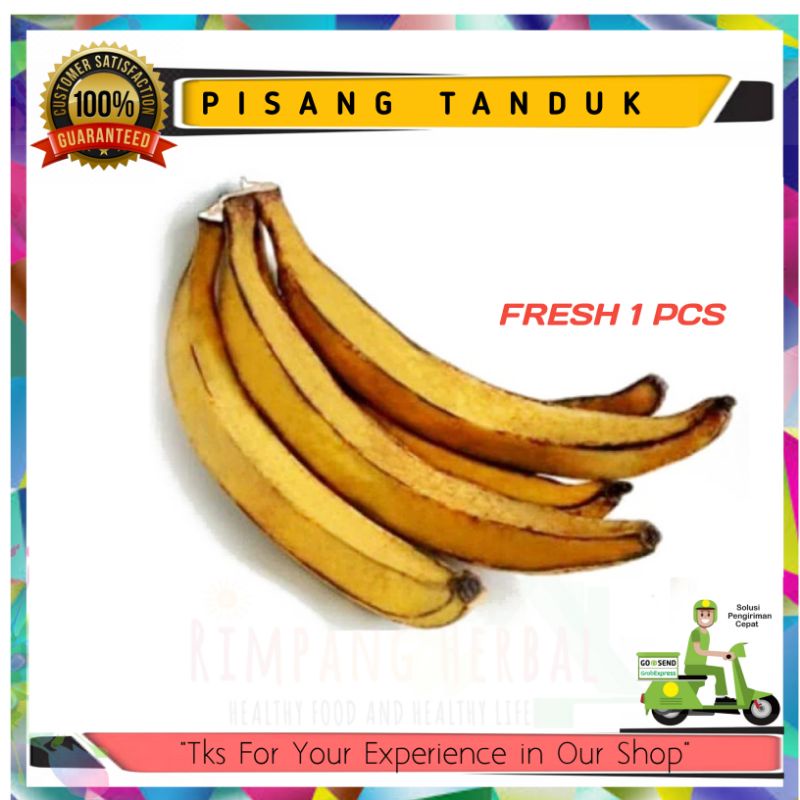 

Pisang | Pisang tanduk | Buah segar | Jumbo