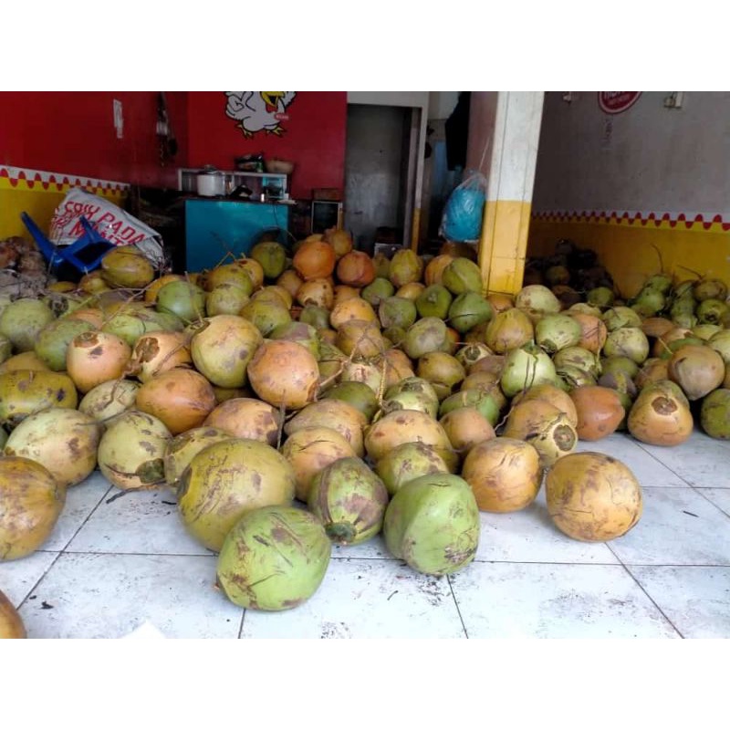 

degan dan degan ijo hijau 24rb