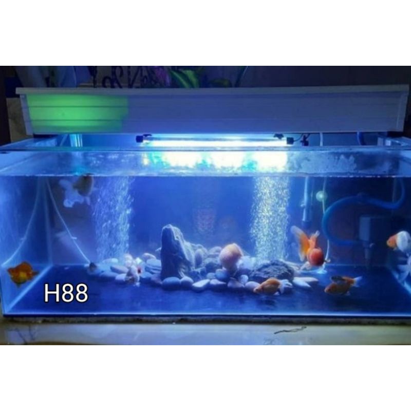 Topfilter..talang.aquarium.60cm.dan.tutup60cm