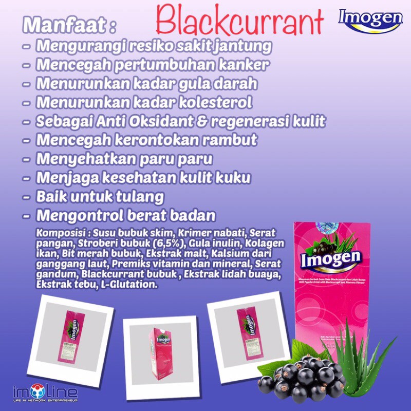 IMOGEN BLACKCURRANT
