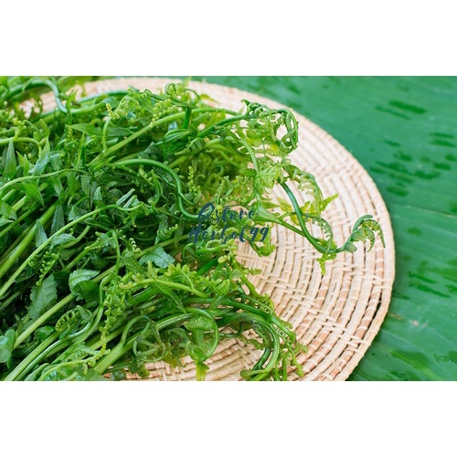 

PAKIS SAYUR -Siap Olah
