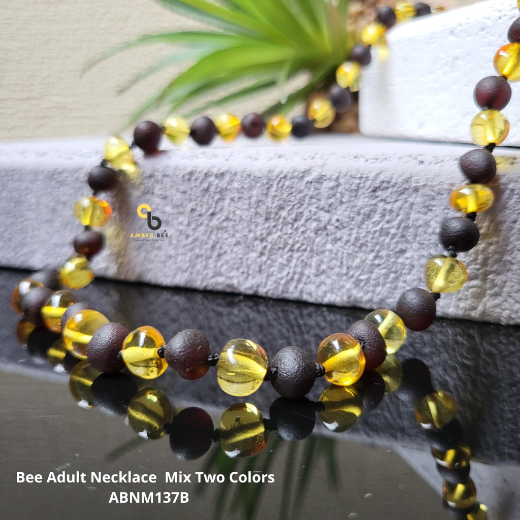 Kalung Amber Dewasa Premium Mix Two Colors by Amberbee ABNM137