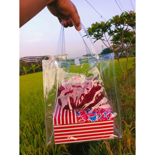 

Tas Jinjing Souvenir Kotak Nasi (READY STOK) 25x22x27