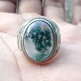 lumut suliki kristal bodi glass