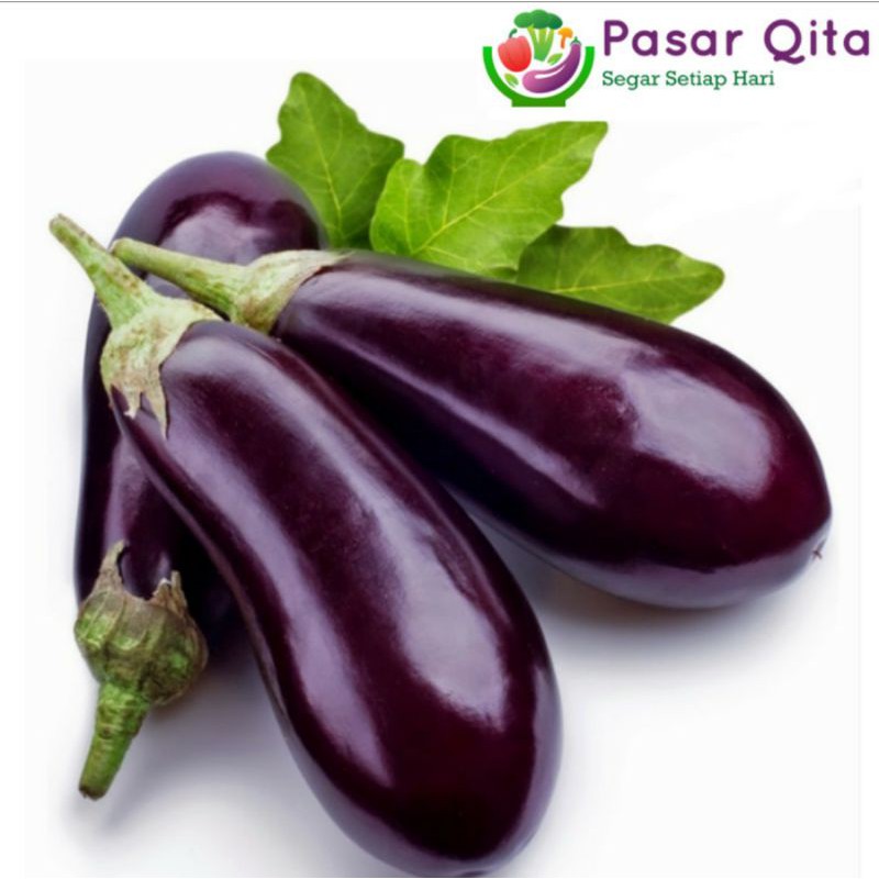 

Terong Ungu Segar - Per 500 Gram ( Pasar Qita )