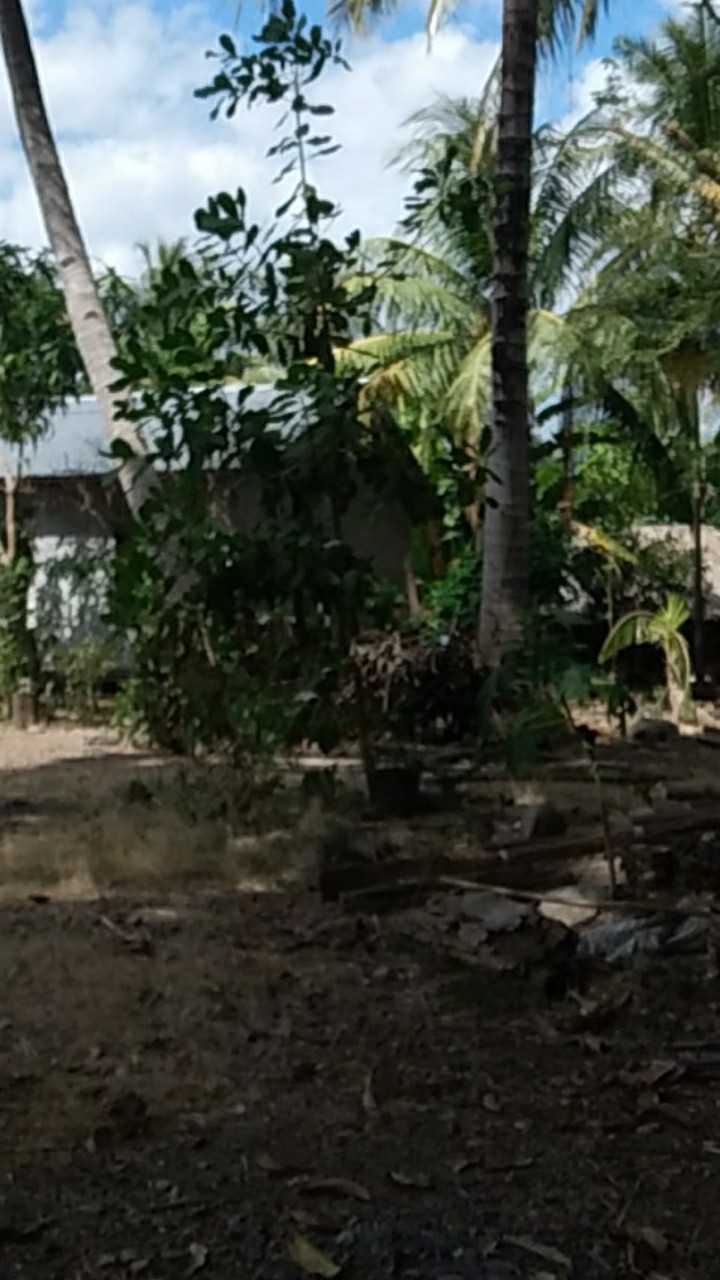 Sarimbit Songket Bolero Arta Batik L Couple Batik L Batik Pasangan L Atasan Batik