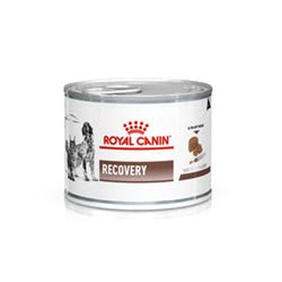 Royal Canin Recovery 195 gram Makanan Basah Anjing Kucing