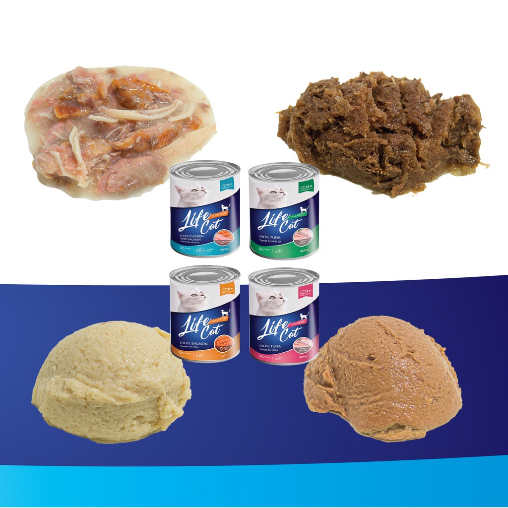 Life Cat Can Tuna Kitten 400 gr Shopee Indonesia