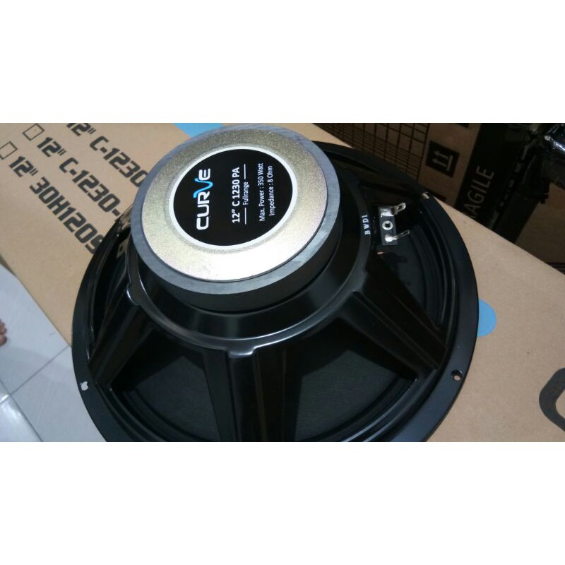 speaker curve12 inch fullrange