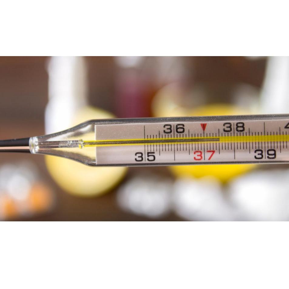 Terupdate.. TERMOMETER MANUAL LOTUS ORIGINAL / THERMOMETER AIR RAKSA LOTUS / TERMOMETER LOTUS / TERM