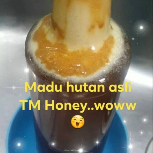 

Madu Hutan asli