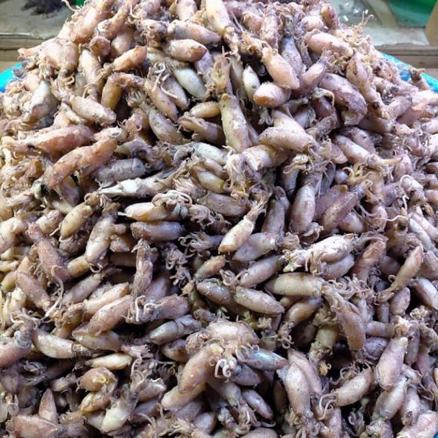 

Cumi Kering