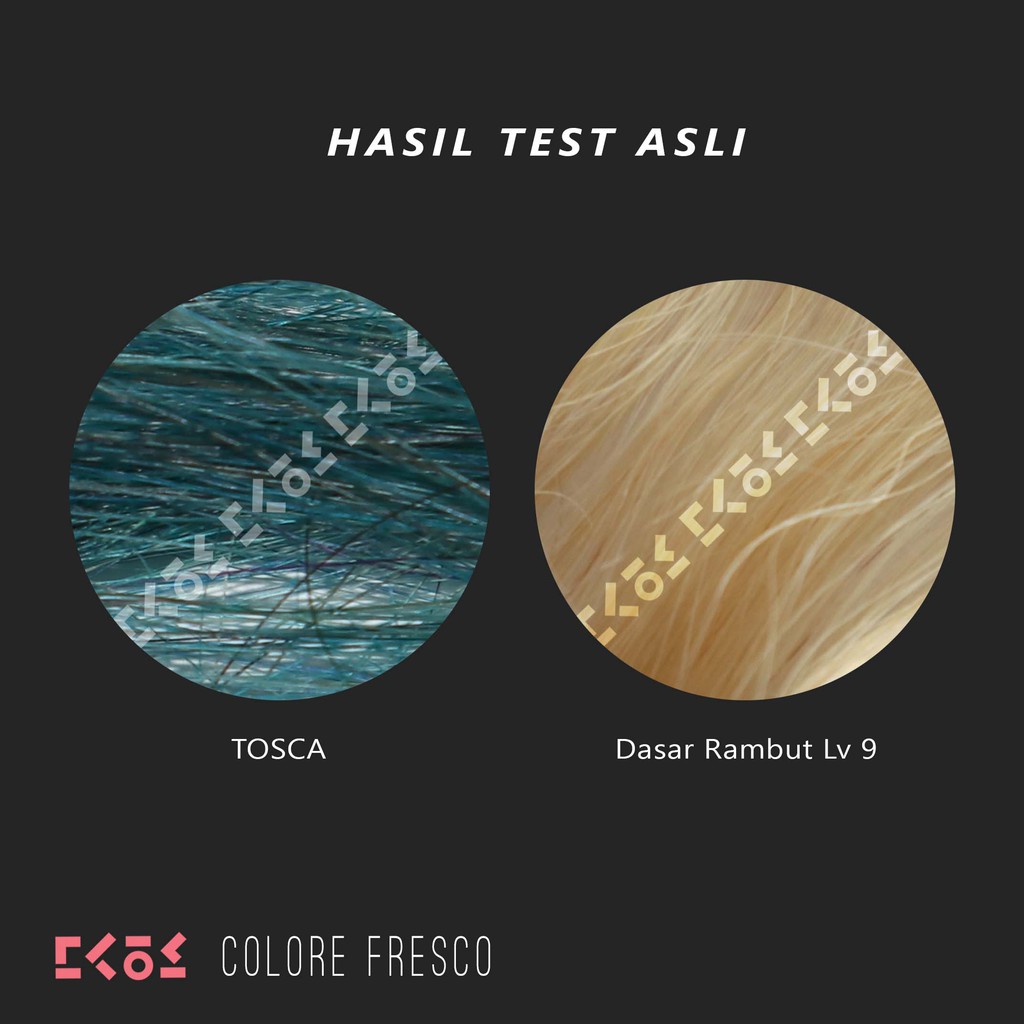 COLORE FRESCO - TOSCA color cream cat pewarna rambut biru hijau