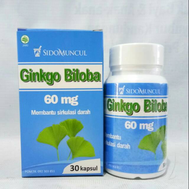 Kapsul Ginkgo Biloba Sidomuncul