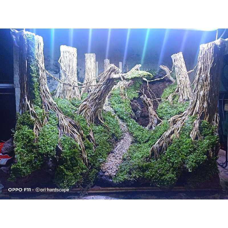 hardscape jungle + waterfall